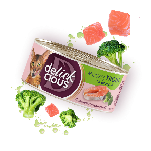 Mousse - trout with broccoli