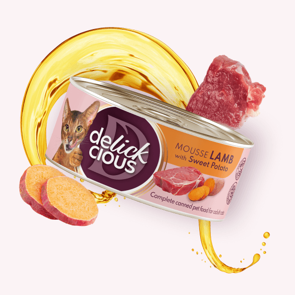 Mousse – lamb with sweet potato