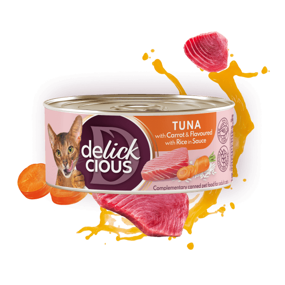 Tuna with carrot and flavoured with rice in sauce