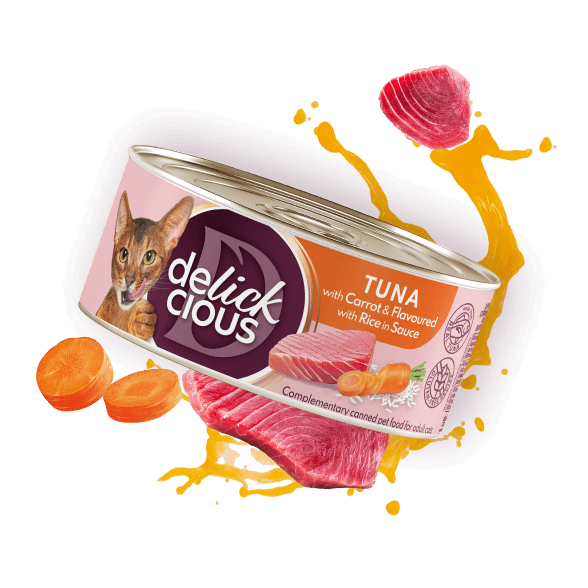 Tuna with carrot and flavoured with rice in sauce