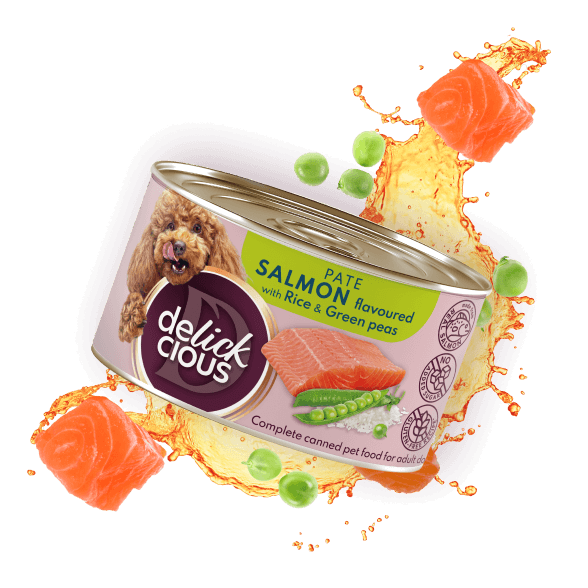 Pate - salmon flavoured with rice and green peas